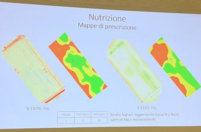 Viticoltura di Precisione